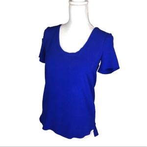 Aritzia Babaton 100% Silk Blue Top